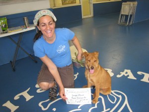 hope Carmen, the Italian greyhound who dropped out of class, didn't end up addicted to crystal meth